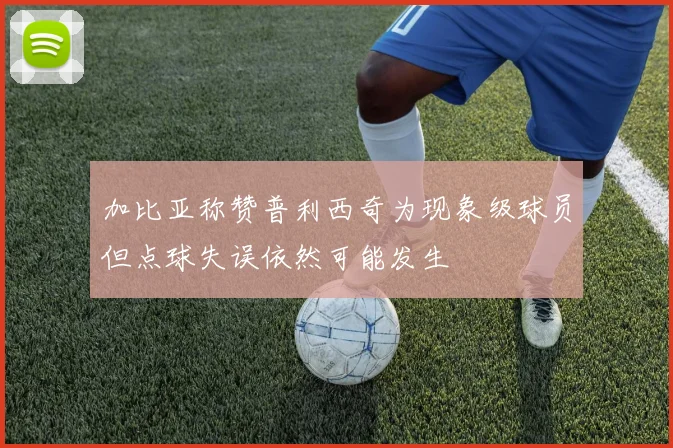 加比亚称赞普利西奇为现象级球员但点球失误依然可能发生