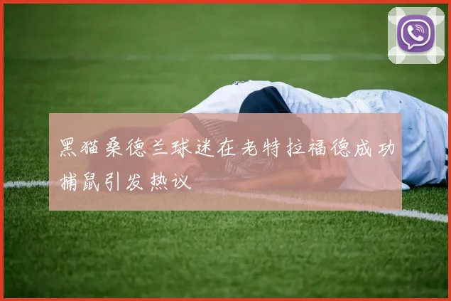 黑猫桑德兰球迷在老特拉福德成功捕鼠引发热议