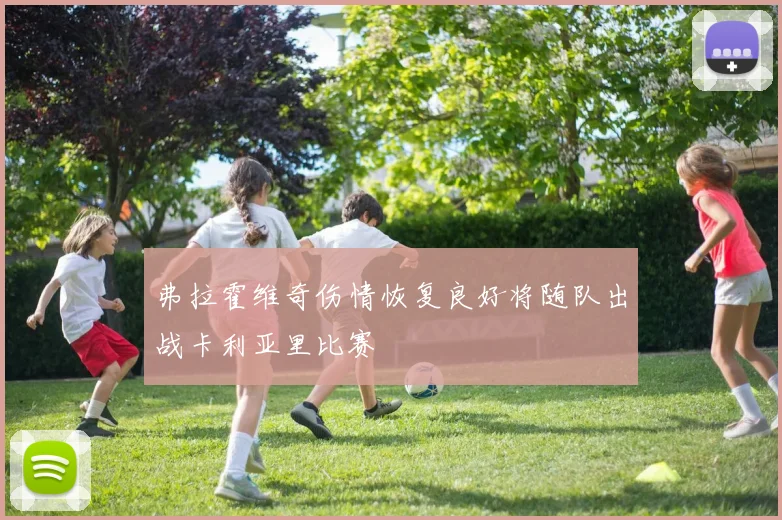 弗拉霍维奇伤情恢复良好将随队出战卡利亚里比赛