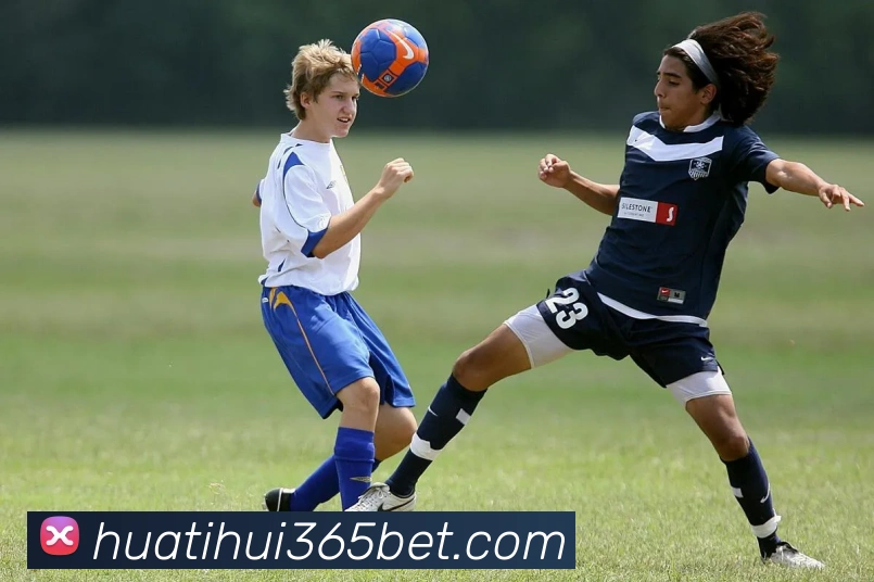 App Interface Preview